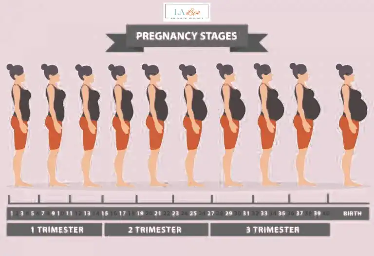 First Trimester (Weeks 1–12): Early Changes You Might Not Notice Avonmouth